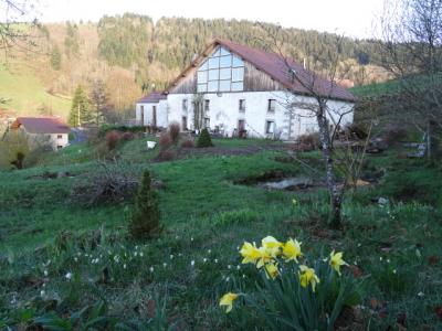 Dsc00081 1